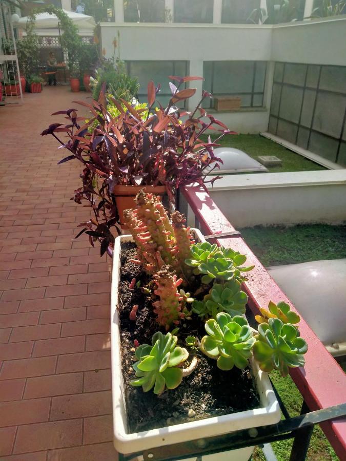 Casarancia Apartamento Roma